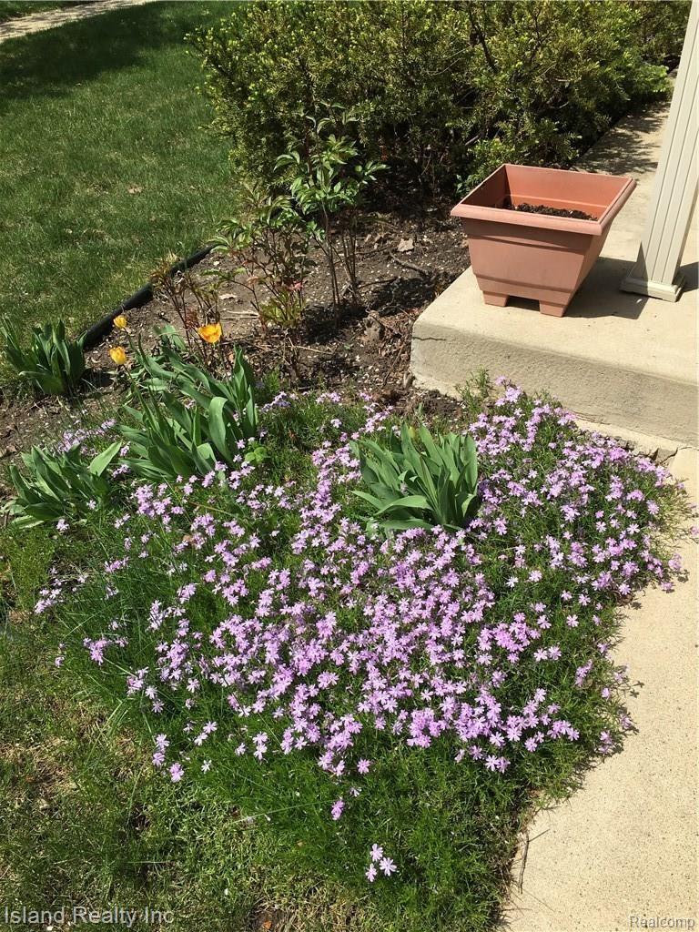 2590 Middlefield Road Trenton, MI 48183 - Photo 7 of 42 IMG_0535.JPG