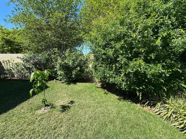 a view of an outdoor sitting area with furniture