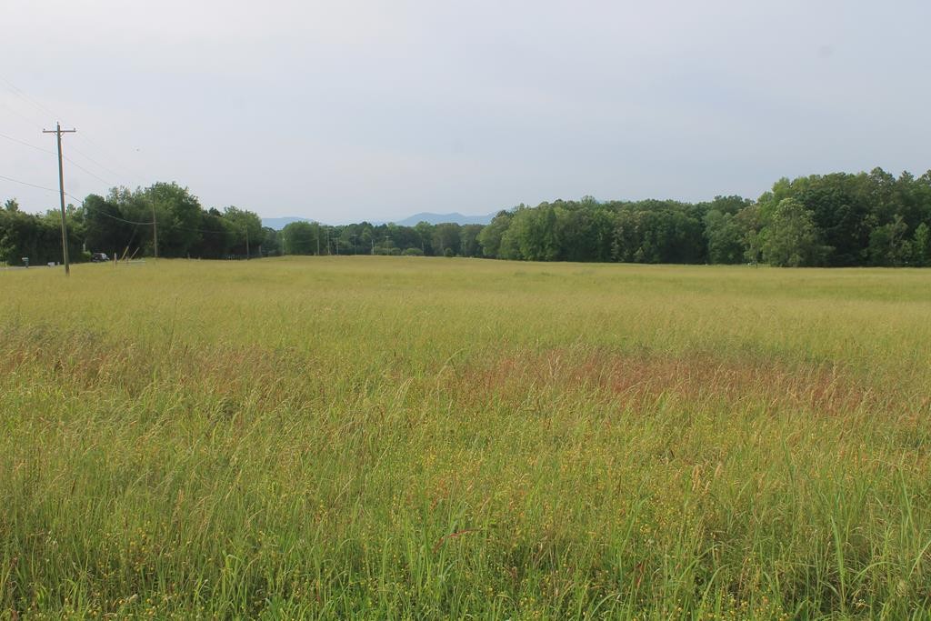 0 McCorkle Road Baneberry, TN 37890 - Photo 16 of 18