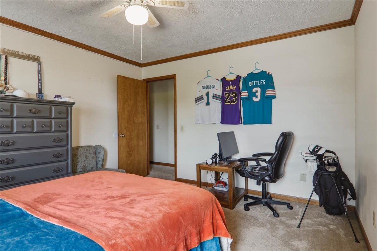302 Ceilo View Street Colfax, IL 61728 - Photo 23 of 28 Gallery Image 23