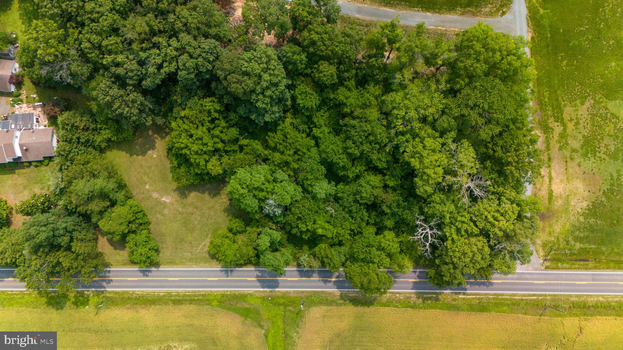 9960 Meetze Road Midland, VA 22728 - Photo 12 of 23