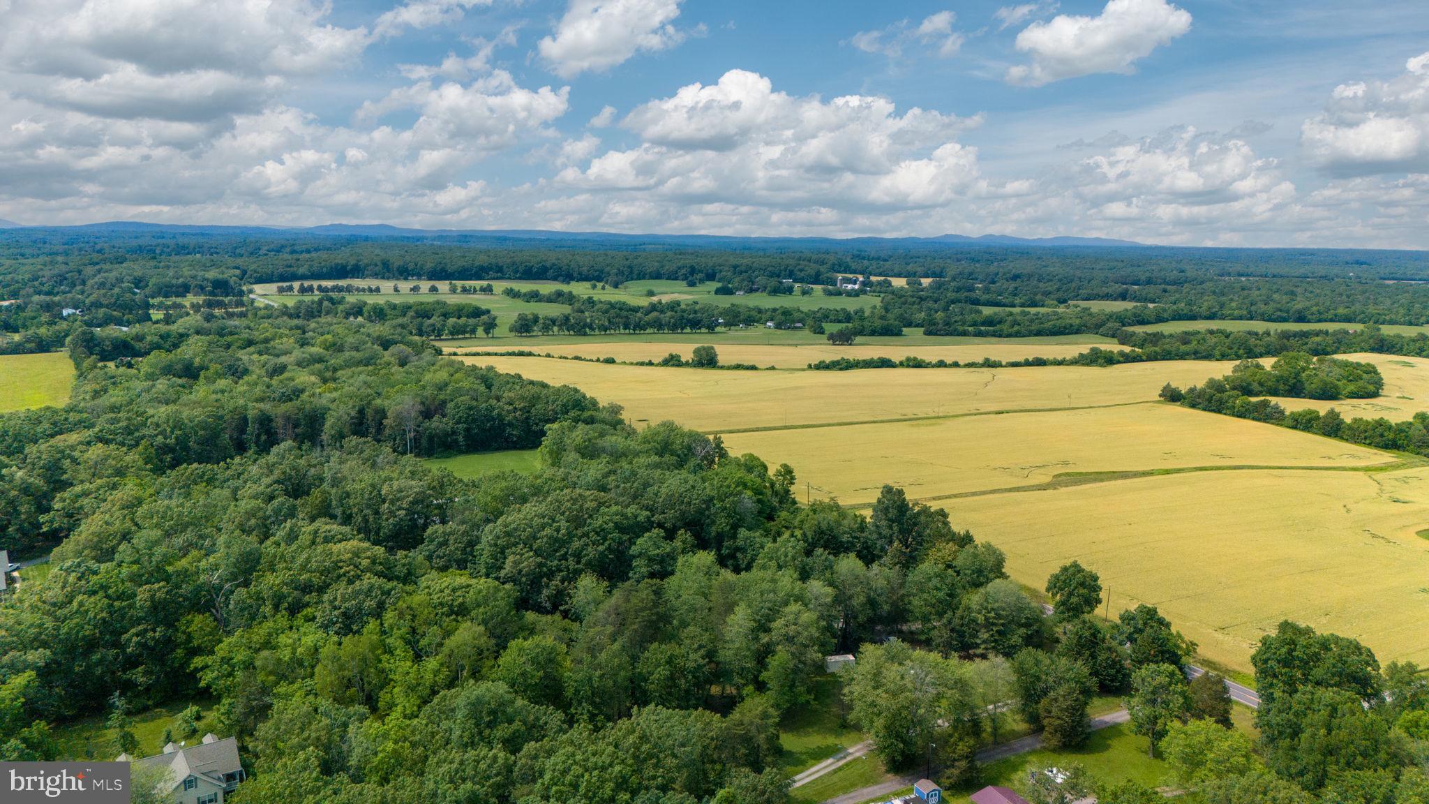 9960 Meetze Road Midland, VA 22728 - Photo 17 of 23