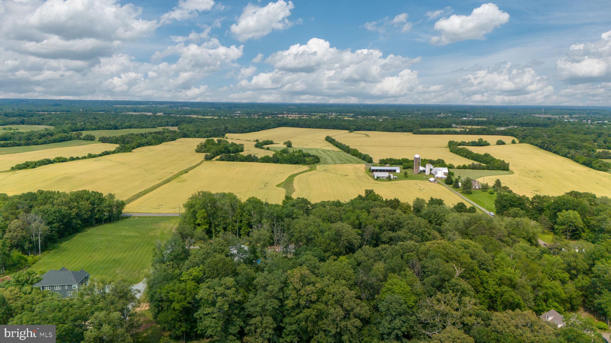 9960 Meetze Road Midland, VA 22728 - Photo 18 of 23