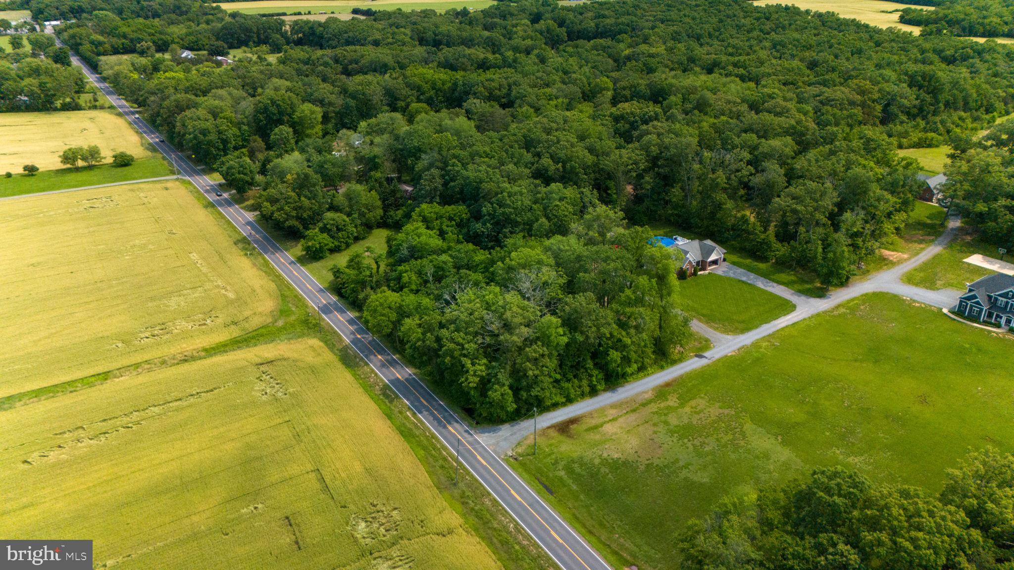 9960 Meetze Road Midland, VA 22728 - Photo 4 of 23