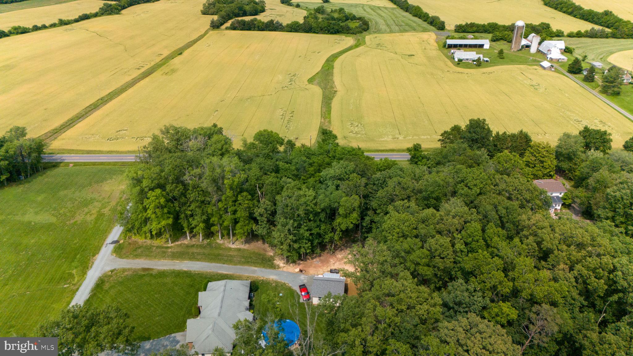 9960 Meetze Road Midland, VA 22728 - Photo 7 of 23