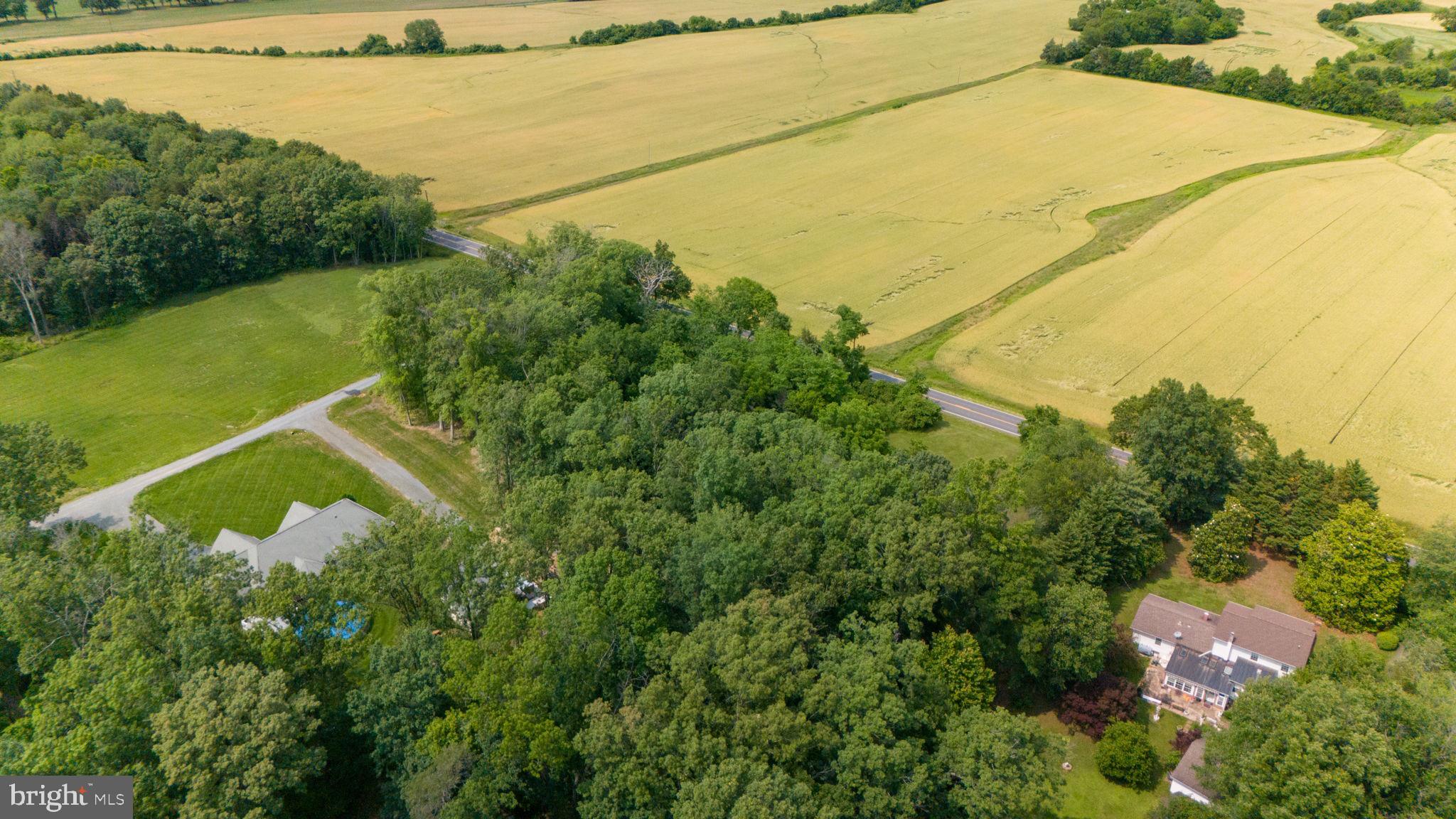 9960 Meetze Road Midland, VA 22728 - Photo 8 of 23