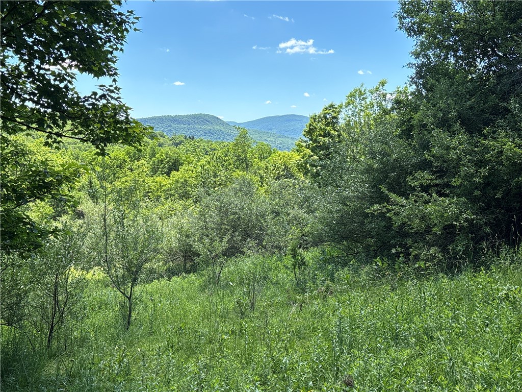 2636 Murphy Hill Road Andes, NY 13731 - Photo 18 of 33