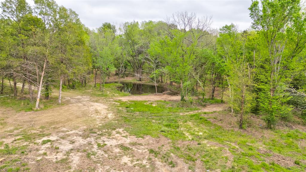 1411 Vz County Road 2139 Wills Point, TX 75169 - Photo 3 of 38