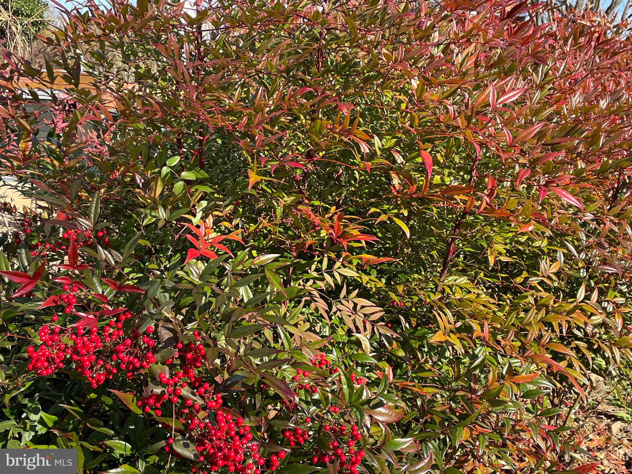 8489 Meetze Road Warrenton, VA 20187 - Photo 10 of 52 Gallery Image 10