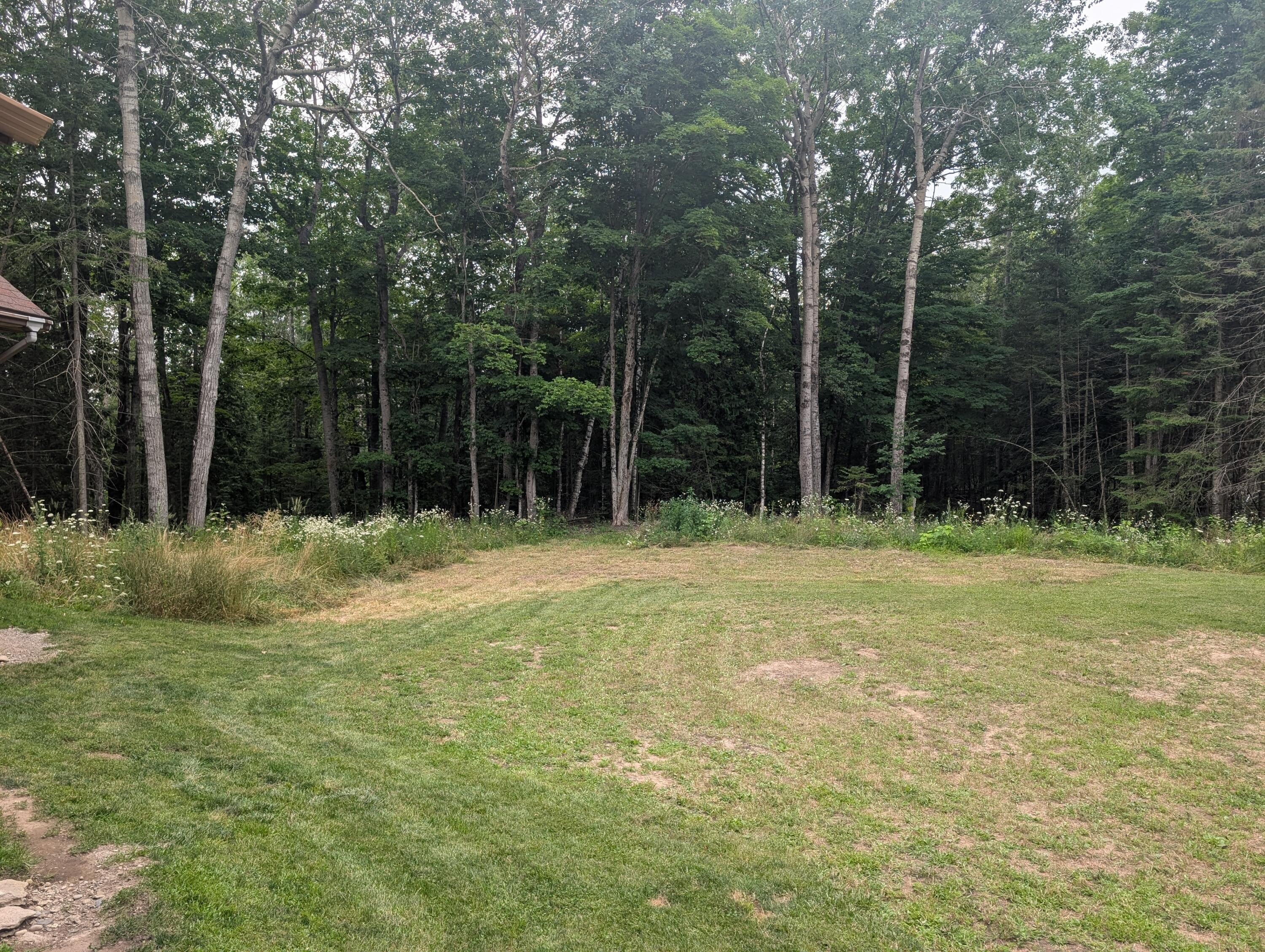 6555 Monaghan Point Road Alpena, MI 49707 - Photo 23 of 59 1000016607