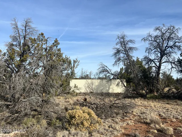 a view of a lake from a yard