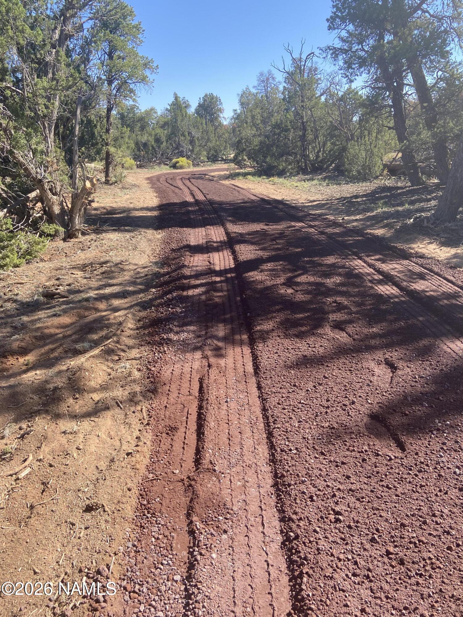 Lot 186 North Bull Run Road Williams, AZ 86046 - Photo 19 of 35 a view of yard with trees