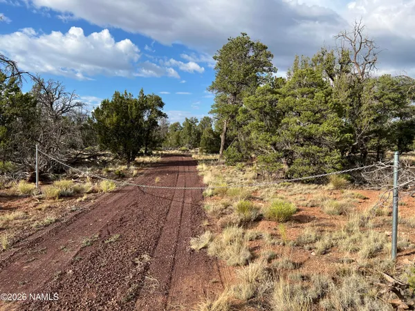 a view of yard with mountain and trees around