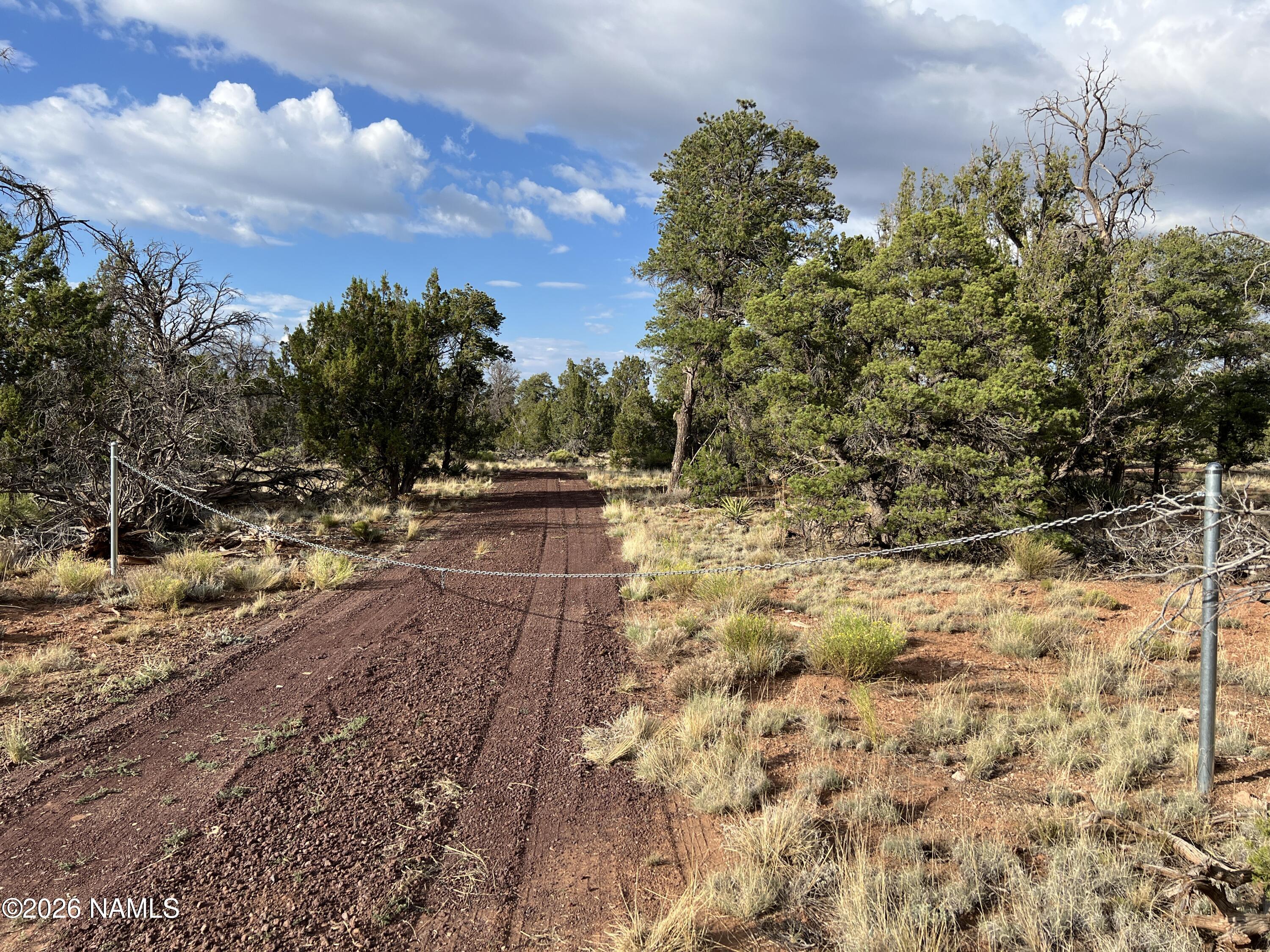 Lot 186 North Bull Run Road Williams, AZ 86046 - Photo 20 of 35 a view of yard with mountain and trees around