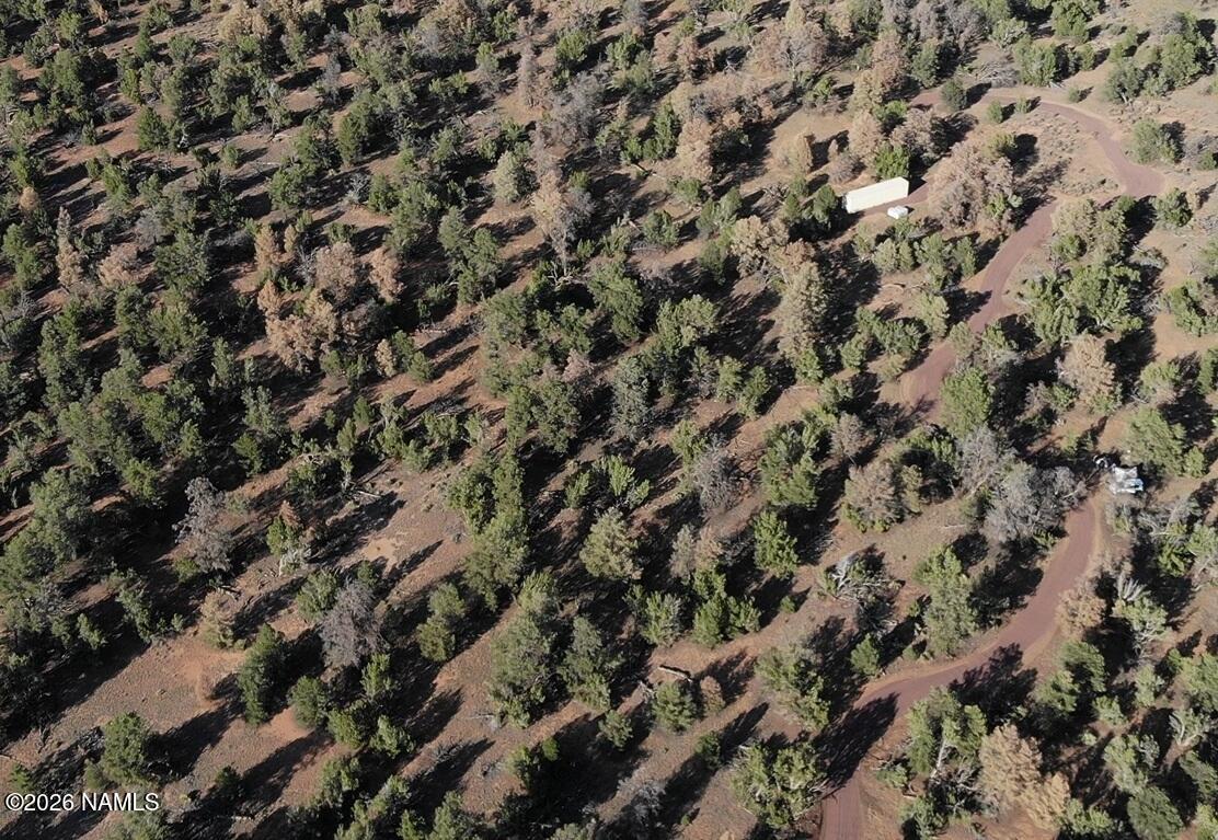 Lot 186 North Bull Run Road Williams, AZ 86046 - Photo 23 of 35 a view of a tree