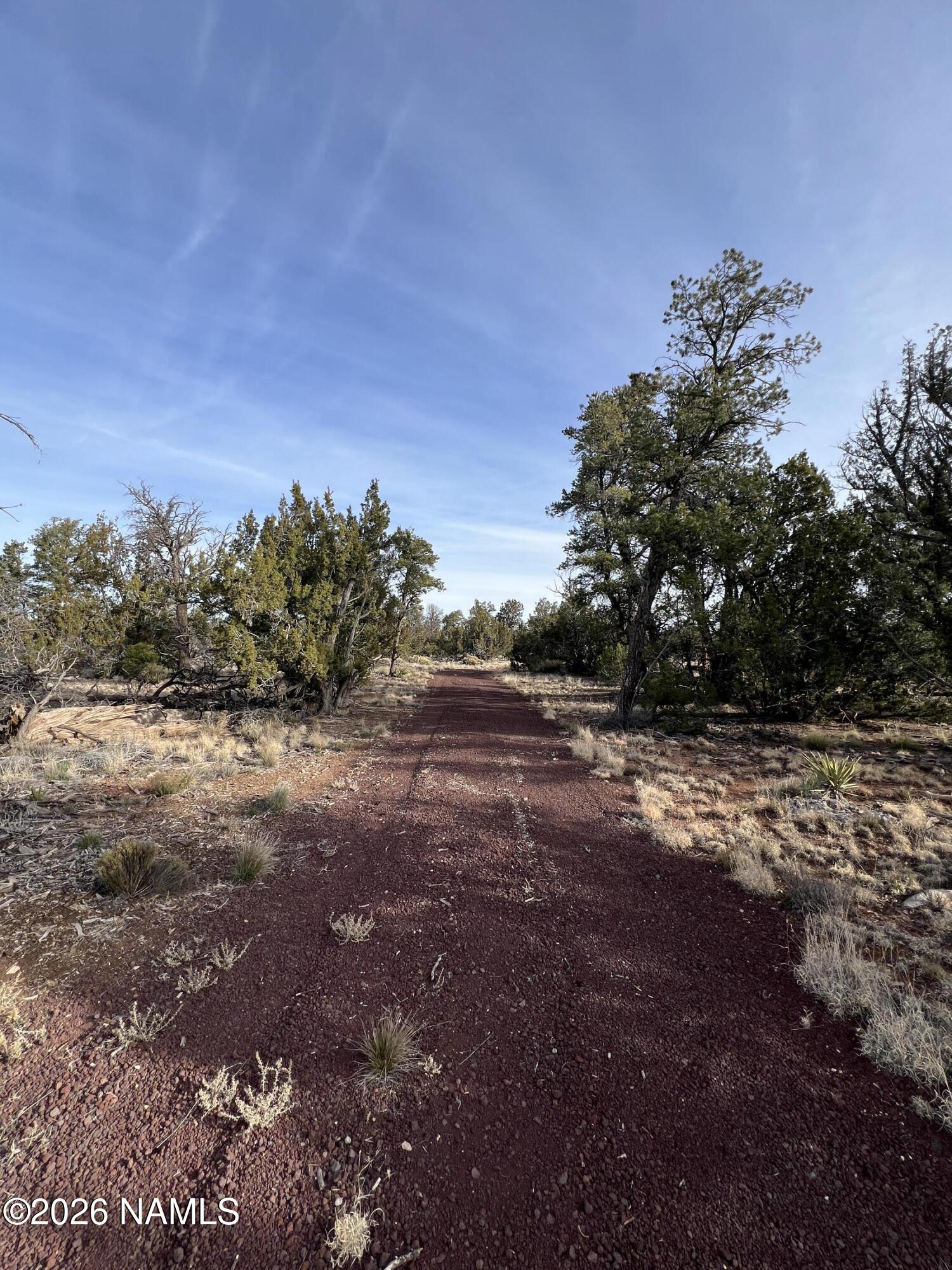 Lot 186 North Bull Run Road Williams, AZ 86046 - Photo 25 of 35 a view of a yard with a tree