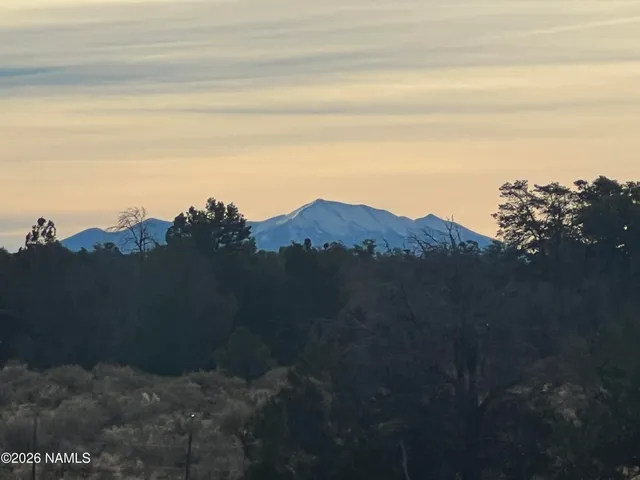 a view of a lake with a mountain in the background