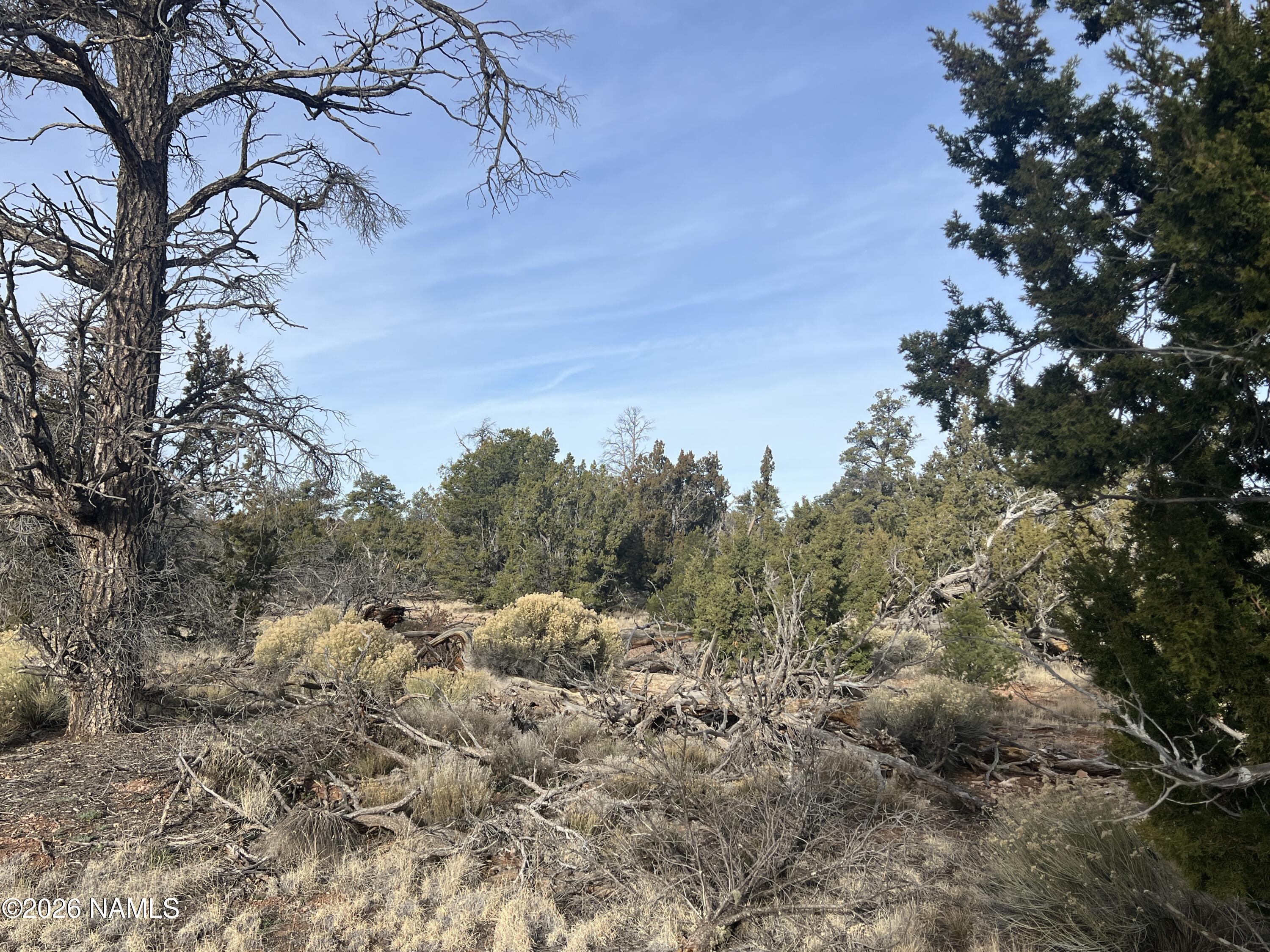 Lot 186 North Bull Run Road Williams, AZ 86046 - Photo 27 of 35 a view of a yard with a tree
