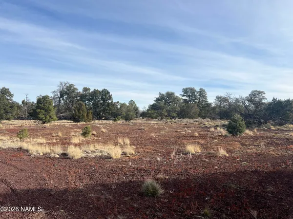 a view of mountain view with trees