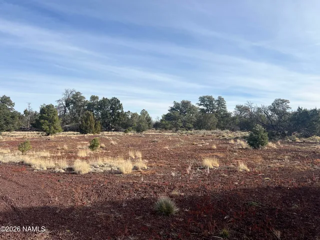 a view of mountain view with trees