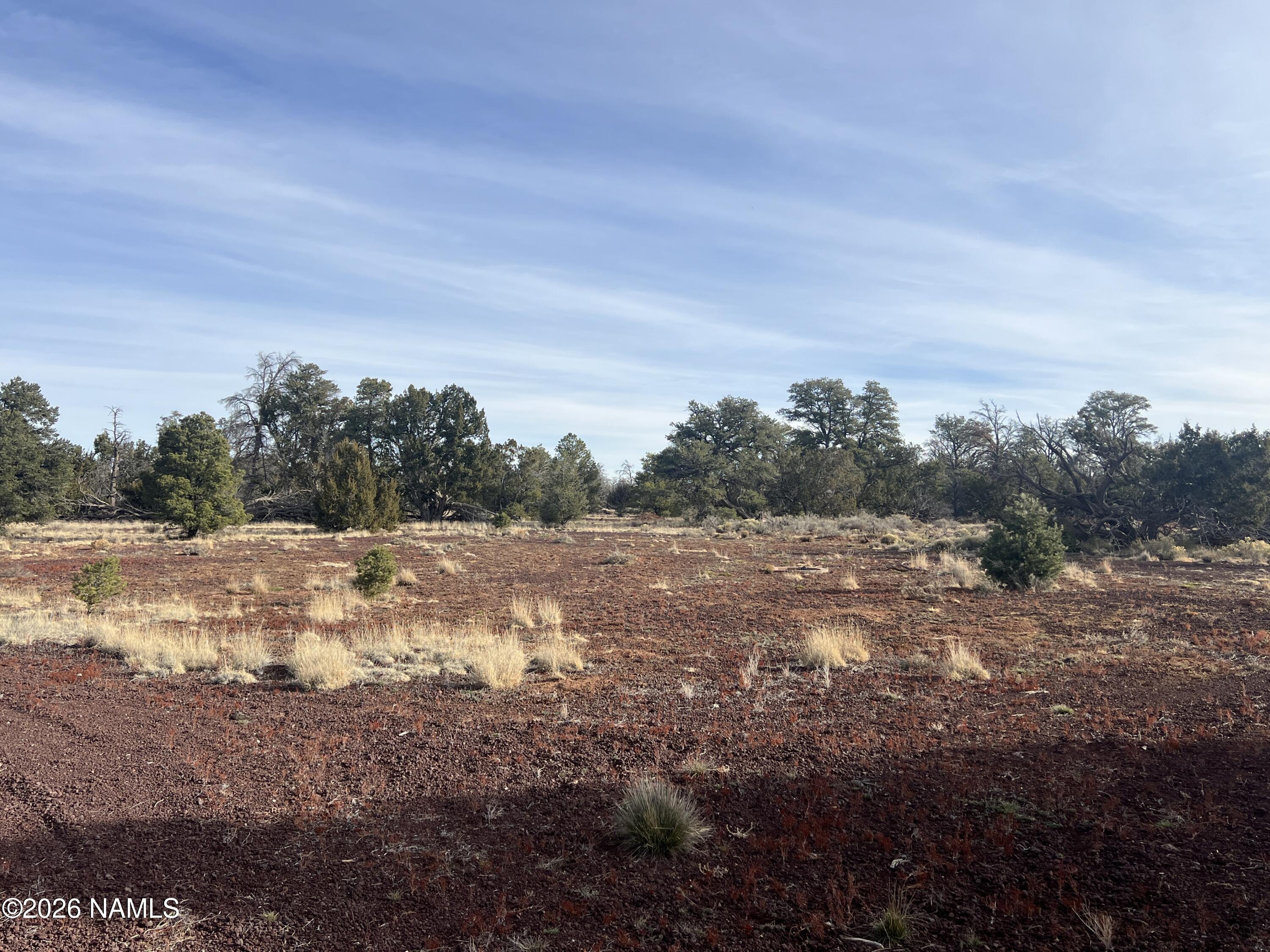 Lot 186 North Bull Run Road Williams, AZ 86046 - Photo 28 of 35 a view of mountain view with trees