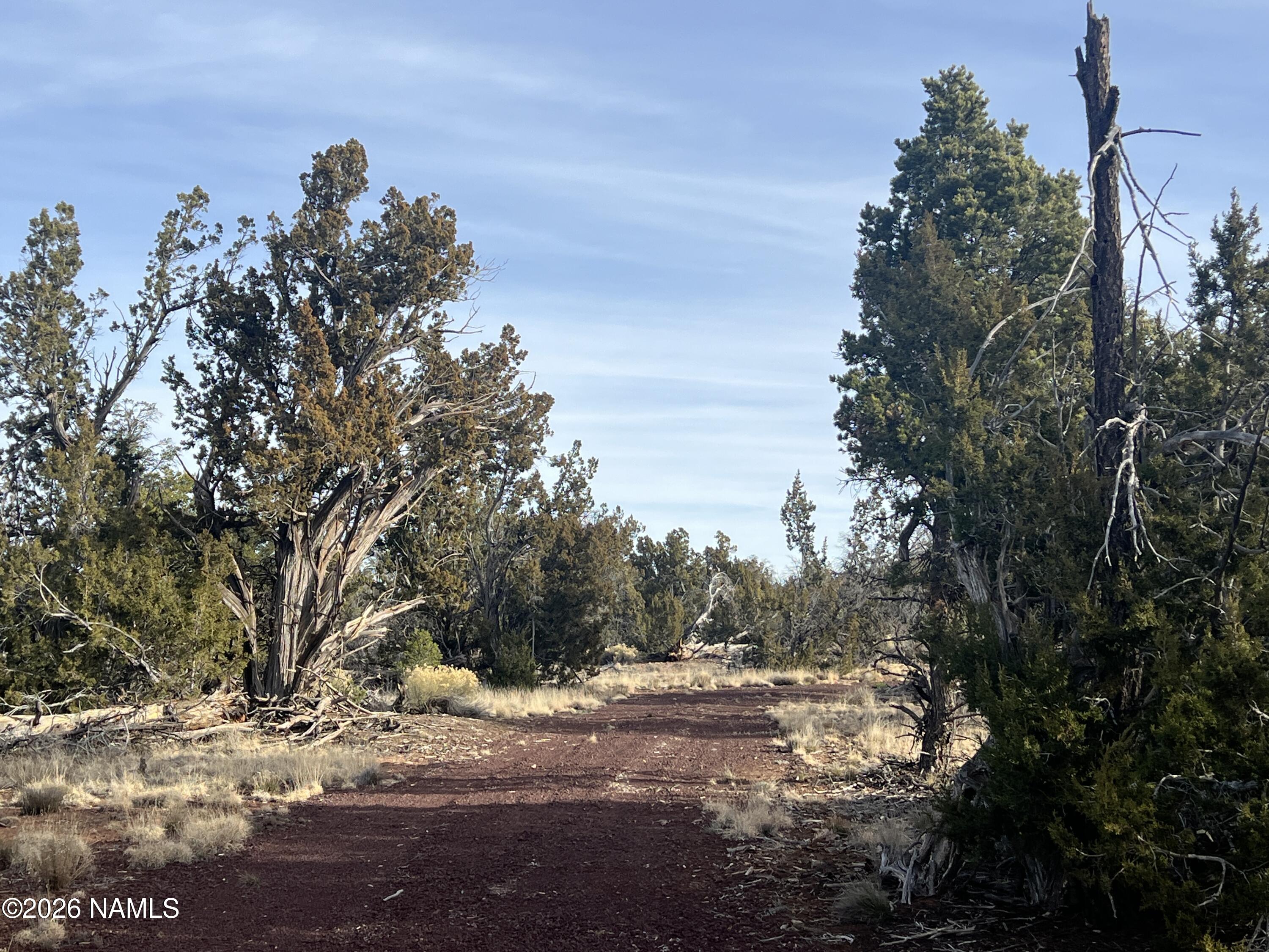 Lot 186 North Bull Run Road Williams, AZ 86046 - Photo 30 of 35 a view of a yard with a tree