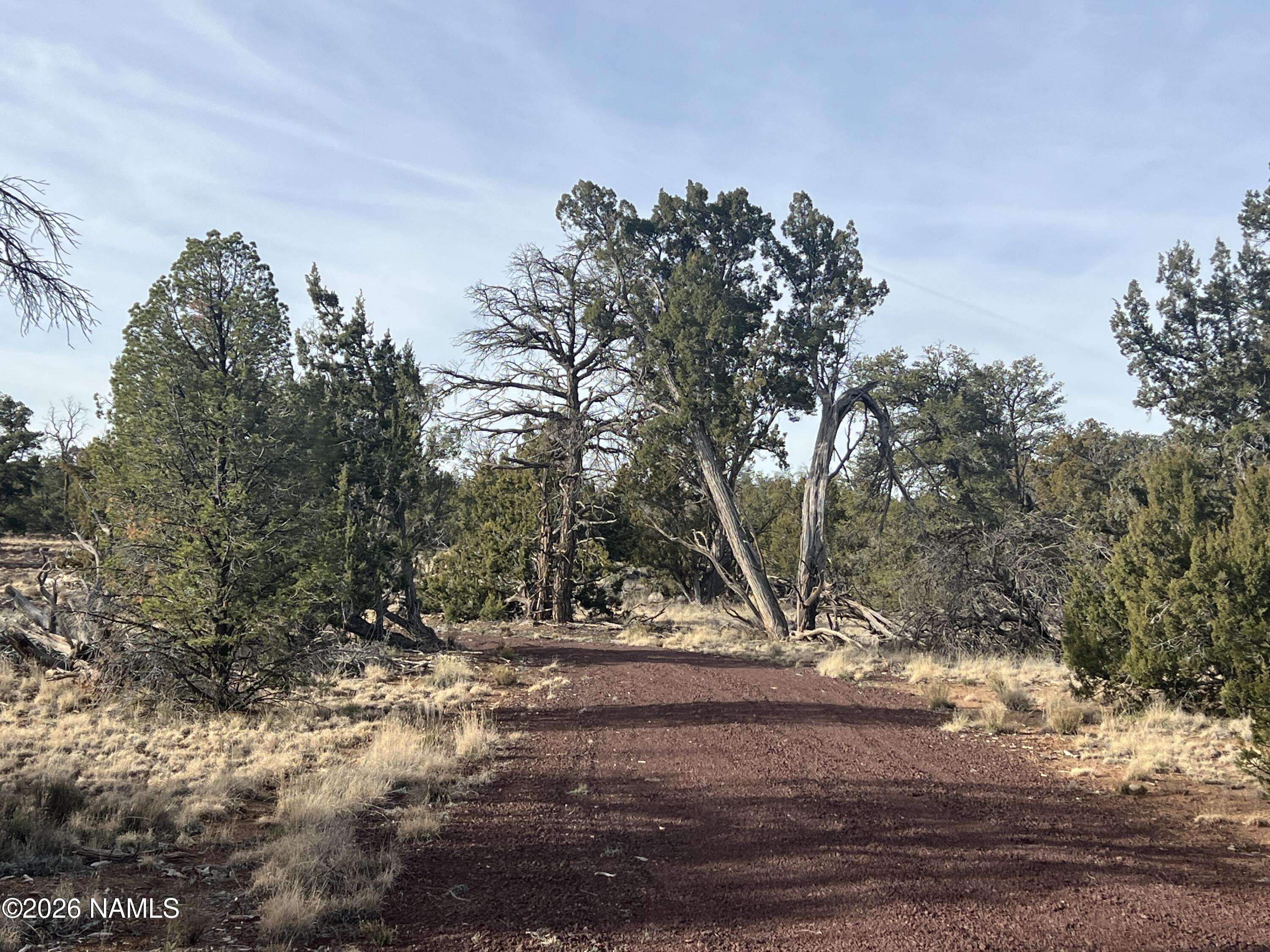Lot 186 North Bull Run Road Williams, AZ 86046 - Photo 31 of 35