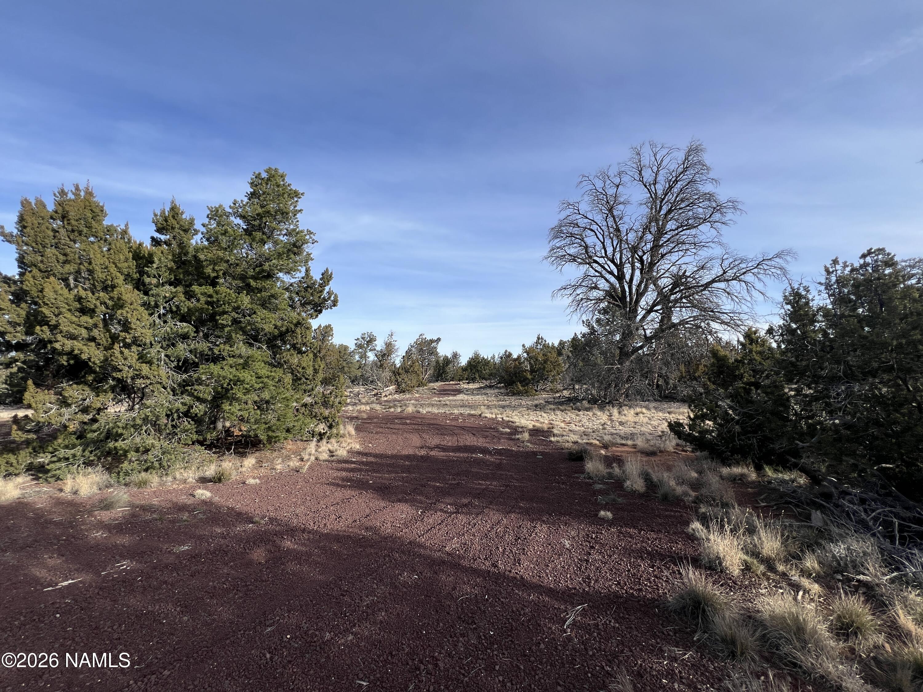 Lot 186 North Bull Run Road Williams, AZ 86046 - Photo 32 of 35 a view of dirt yard with a large tree