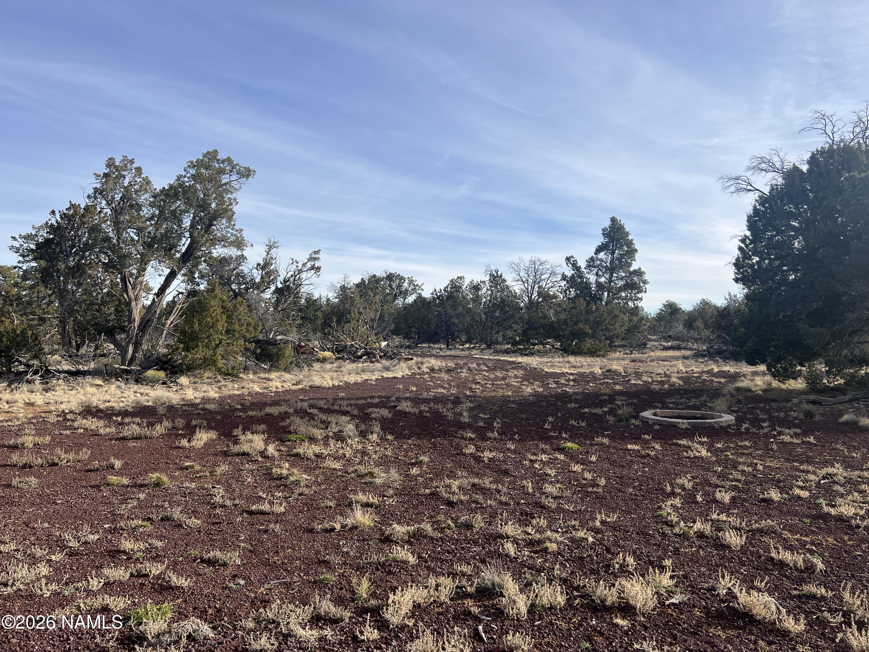 Lot 186 North Bull Run Road Williams, AZ 86046 - Photo 34 of 35 a view of a outdoor space with trees all around