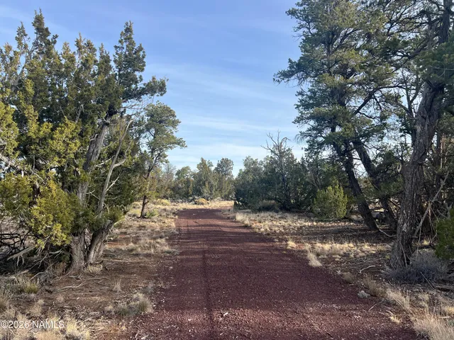 $79,000 | Lot 186 North Bull Run Road, Williams, AZ 86046