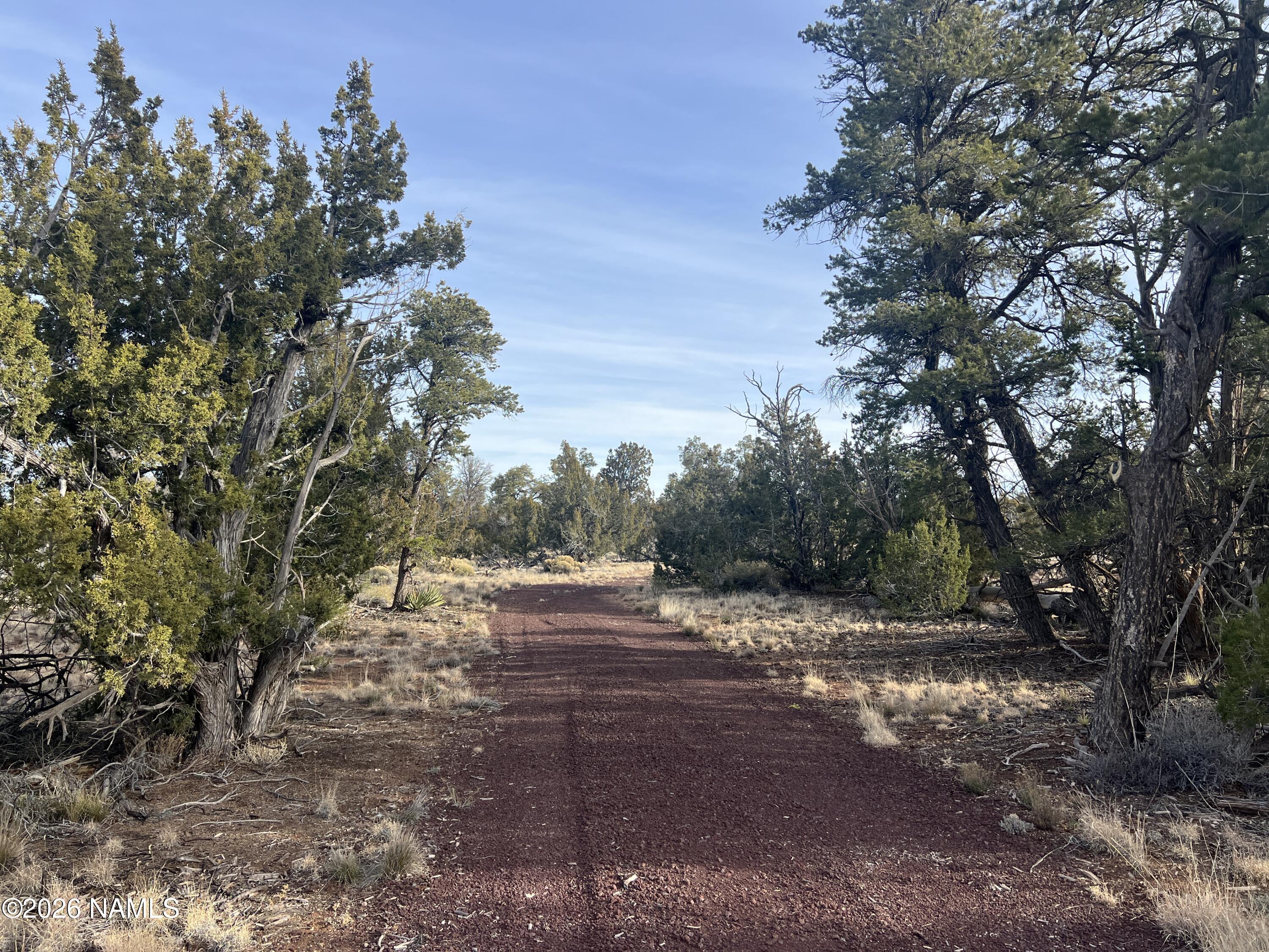 Lot 186 North Bull Run Road Williams, AZ 86046 - Photo 35 of 35 a view of dirt yard with a large tree