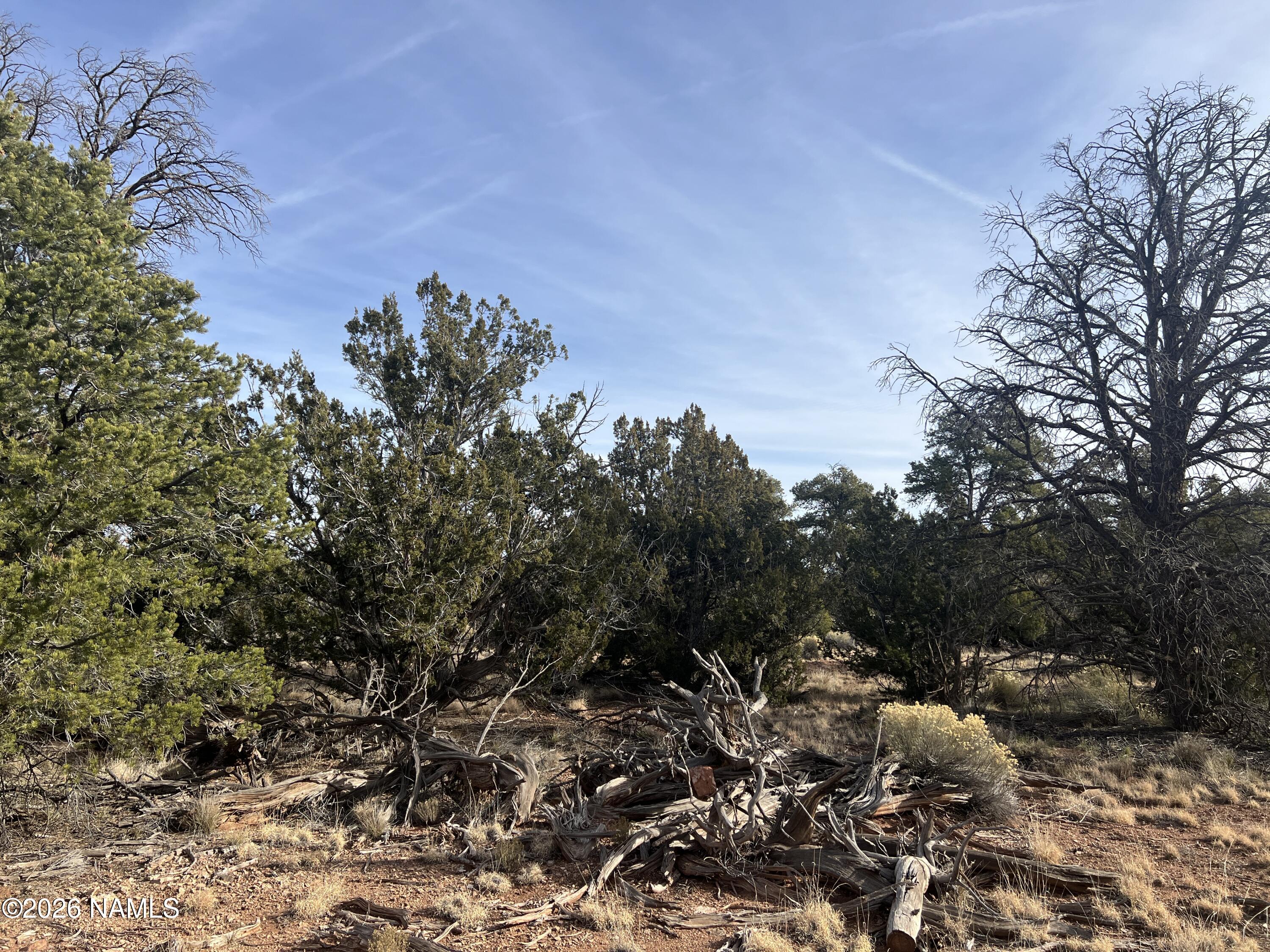Lot 186 North Bull Run Road Williams, AZ 86046 - Photo 5 of 35 a view of a yard