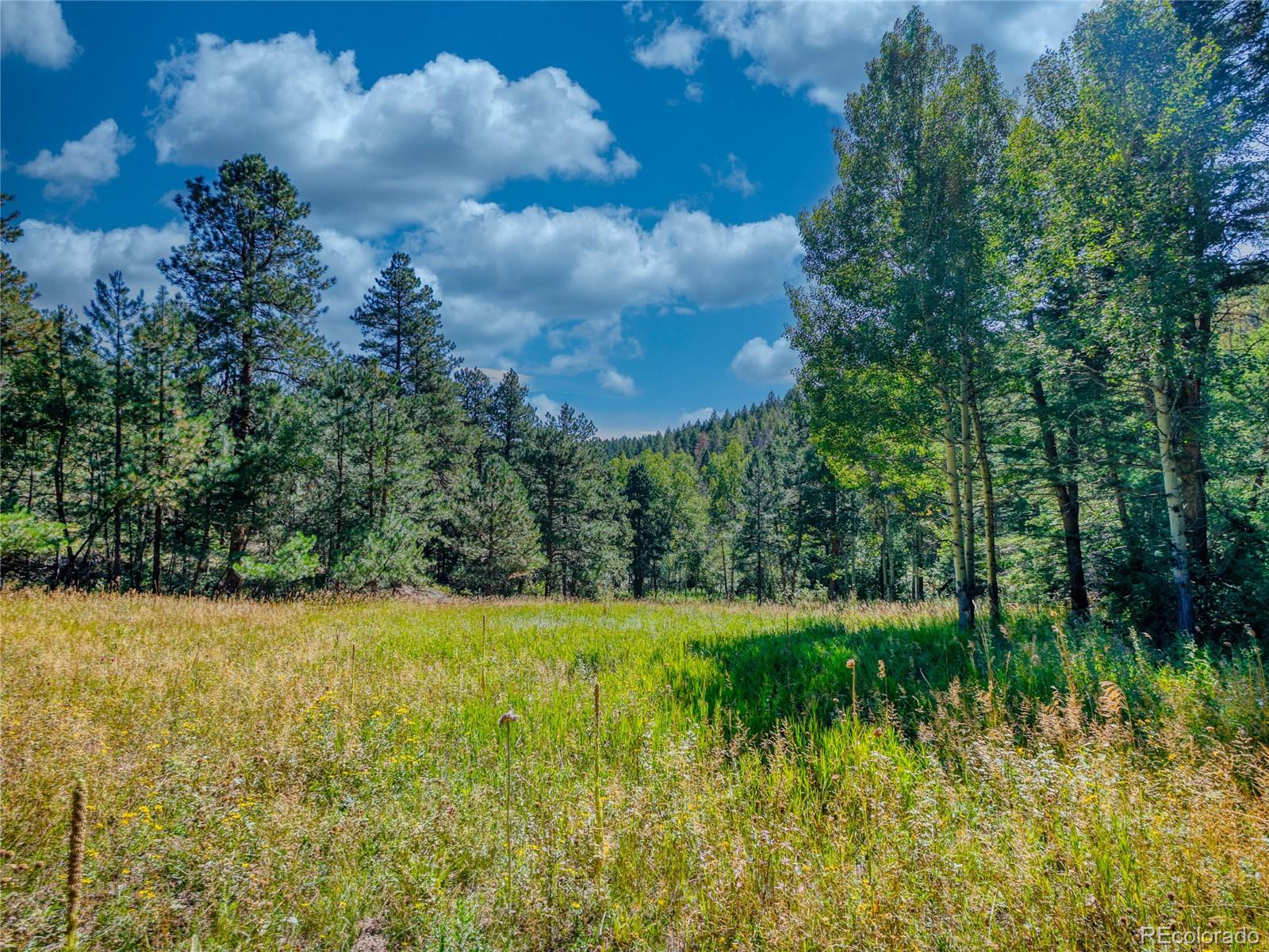 0 Indian Springs Road Morrison, CO 80465 - Photo 14 of 28 a view of a lake view