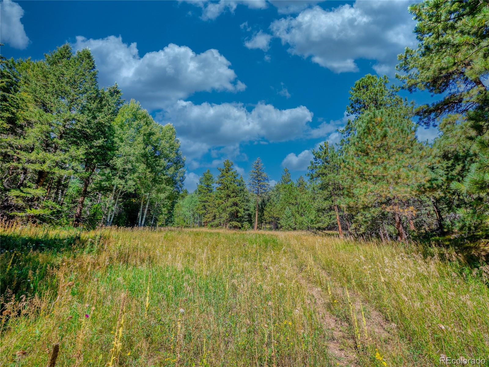 0 Indian Springs Road Morrison, CO 80465 - Photo 15 of 28 a backyard of a house with lots of green space and mountain view