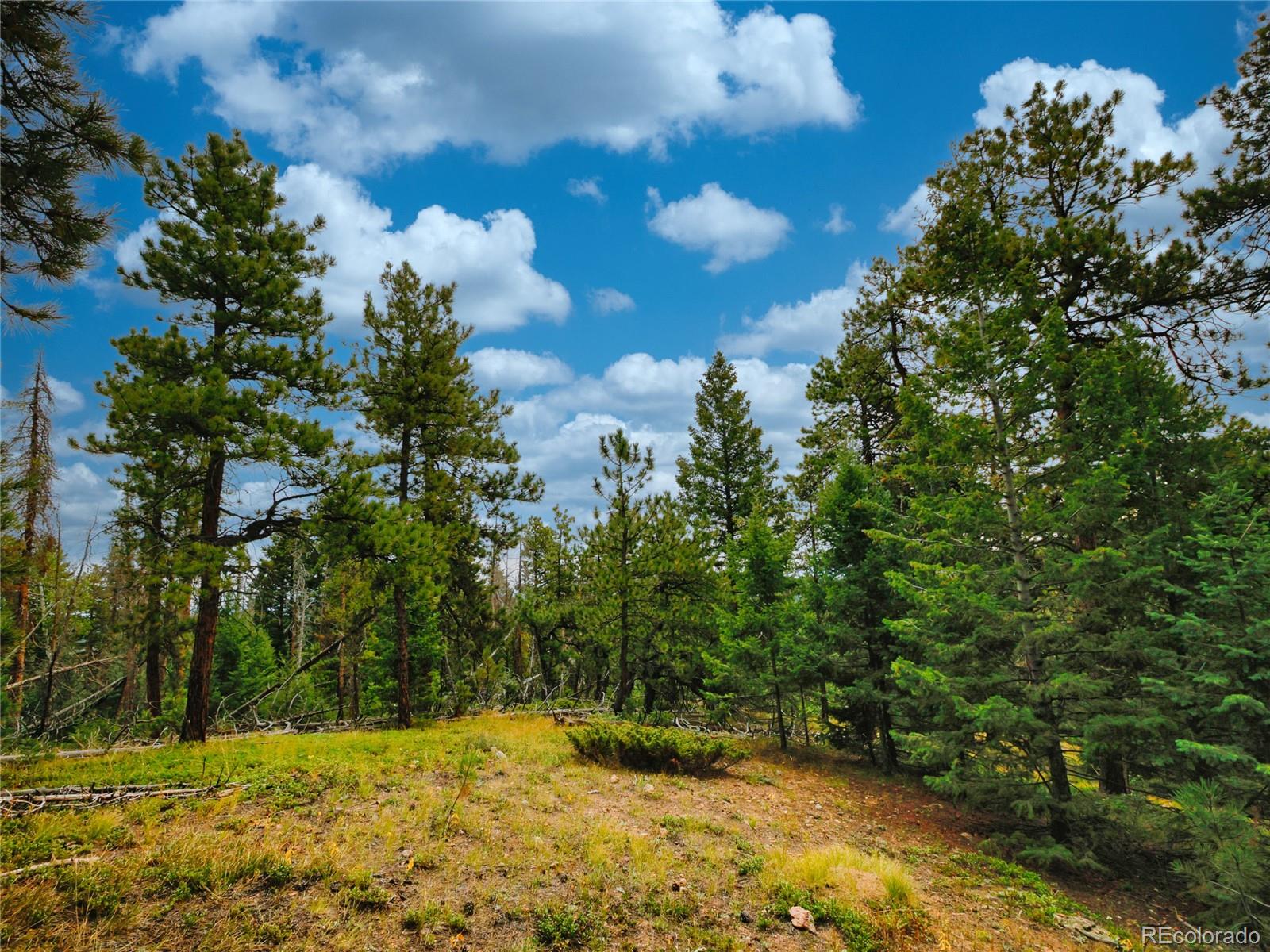 0 Indian Springs Road Morrison, CO 80465 - Photo 16 of 28
