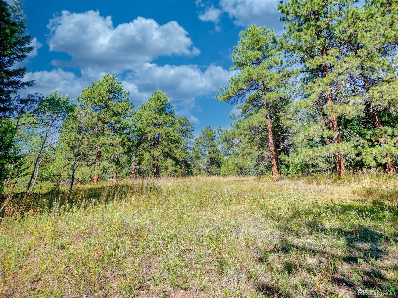 0 Indian Springs Road Morrison, CO 80465 - Photo 17 of 28 a view of a lake from a yard