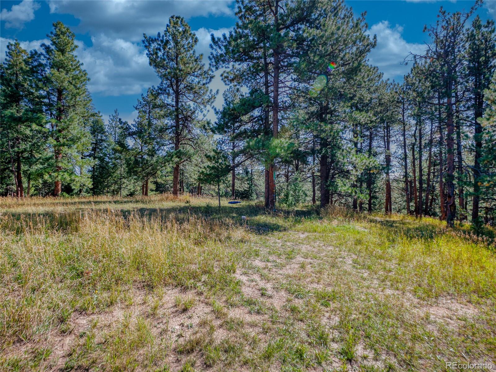 0 Indian Springs Road Morrison, CO 80465 - Photo 18 of 28 a view of swimming pool with a yard