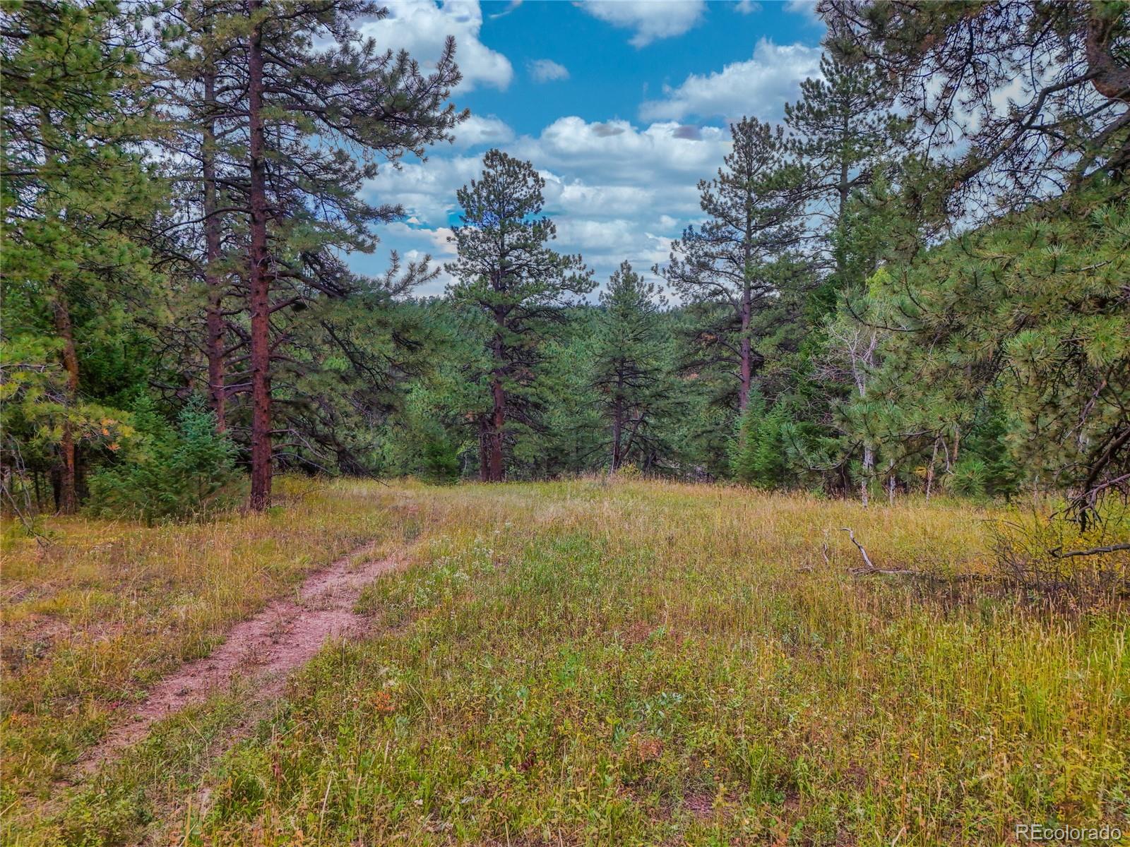 0 Indian Springs Road Morrison, CO 80465 - Photo 21 of 28 a view of lake view and mountain view