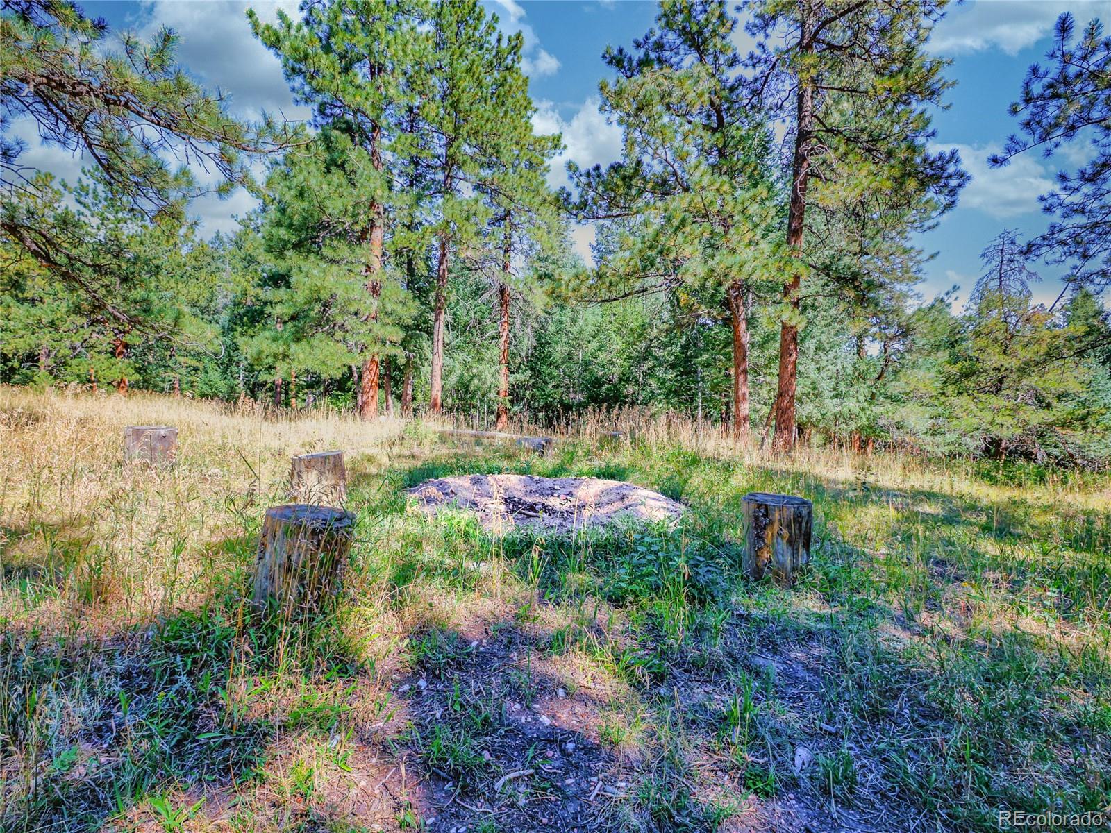 0 Indian Springs Road Morrison, CO 80465 - Photo 23 of 28 a view of yard with green space
