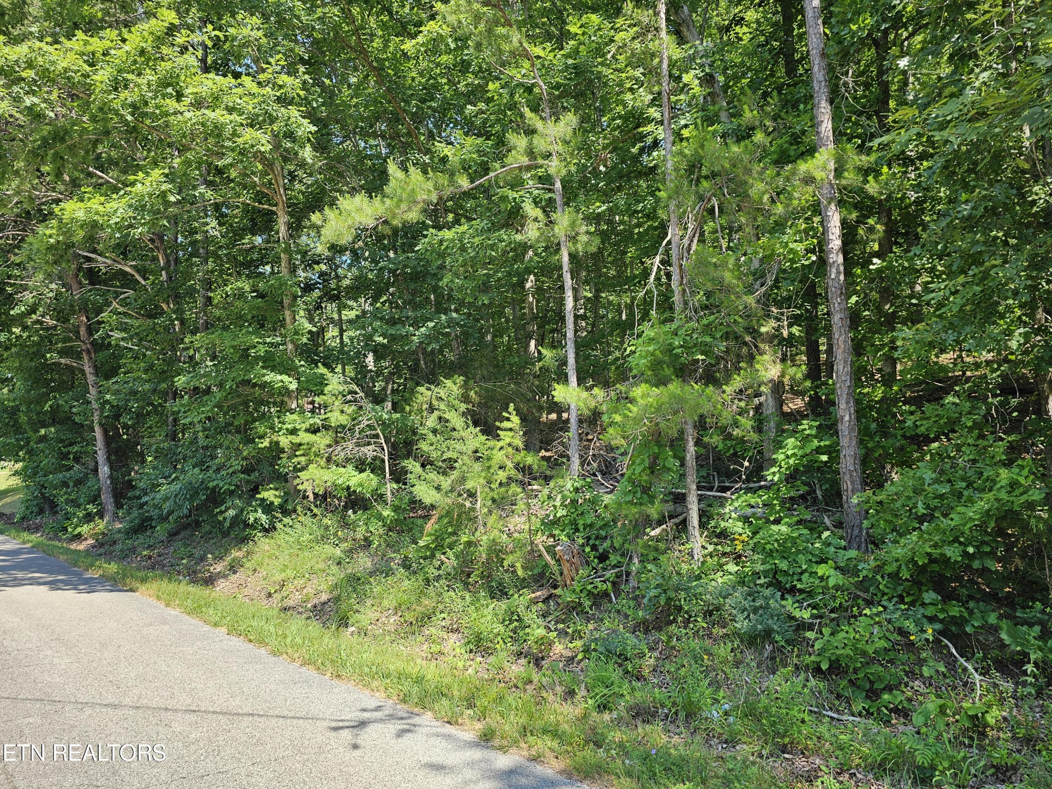 416 Gage Road Philadelphia, TN 37846 - Photo 3 of 3