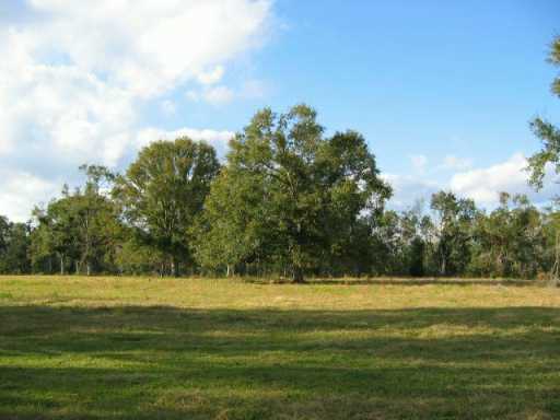 21160 South Fork Road Saucier, MS 39574 - Photo 4 of 5 Additional Photo