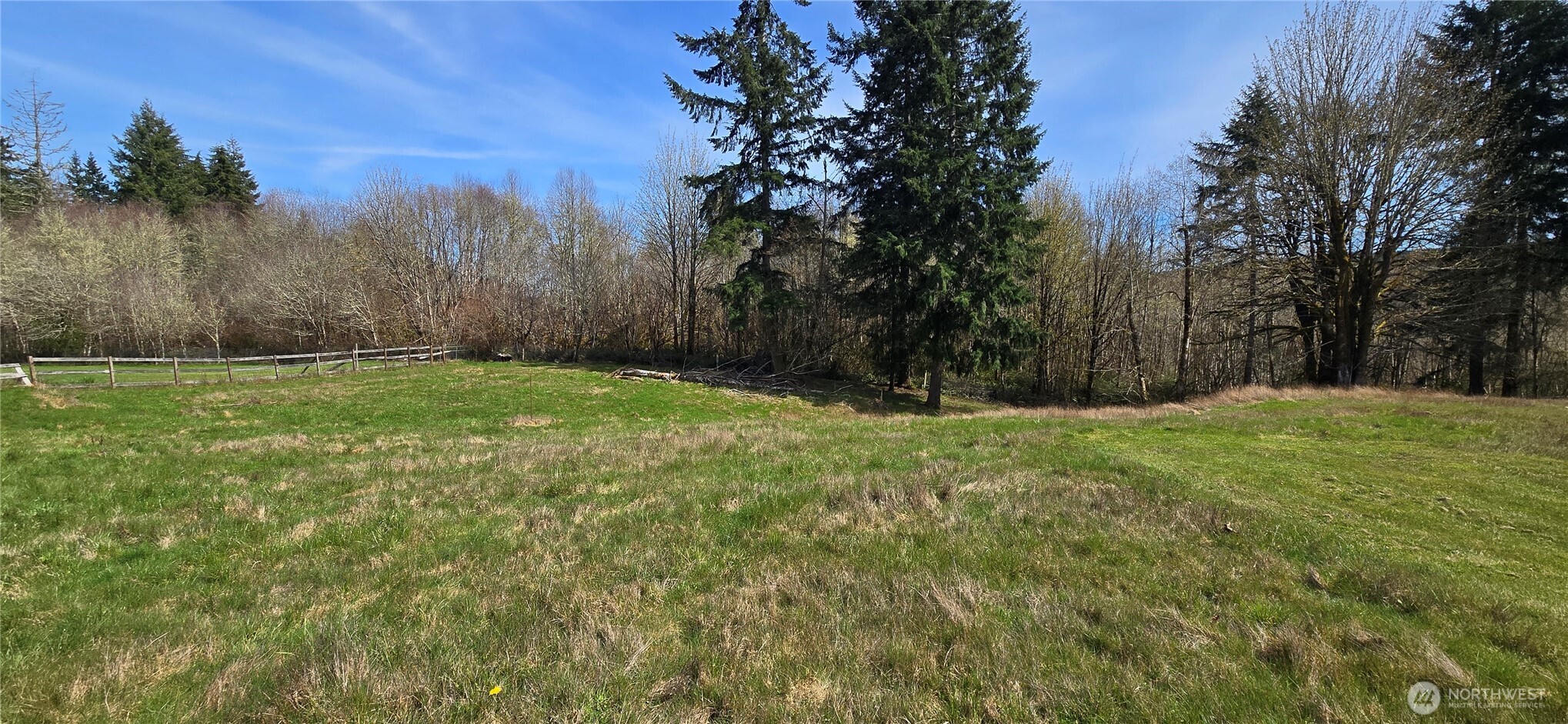 123 Barton Road Rochester, WA 98579 - Photo 13 of 26 a view of a yard with a tree