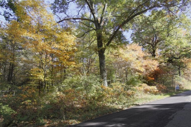 Hamilton Road Battle Creek, MI 49017 - Photo 1 of 6 Primary Photo