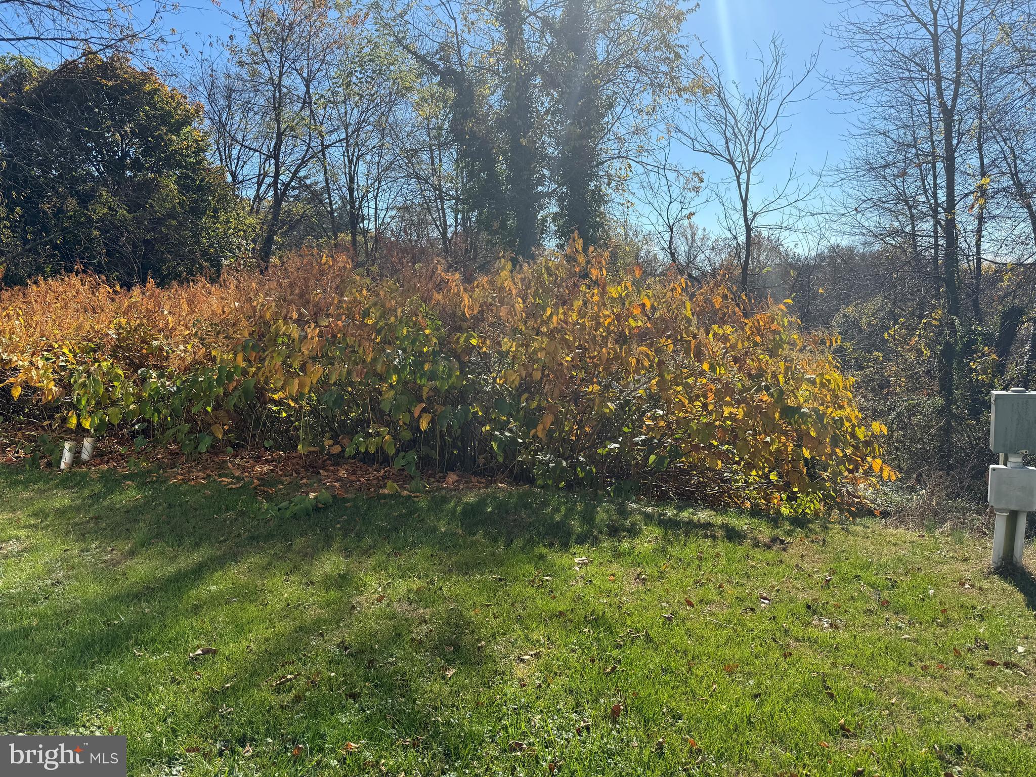22 Apache Run Barto, PA 19504 - Photo 20 of 22 a view of a yard