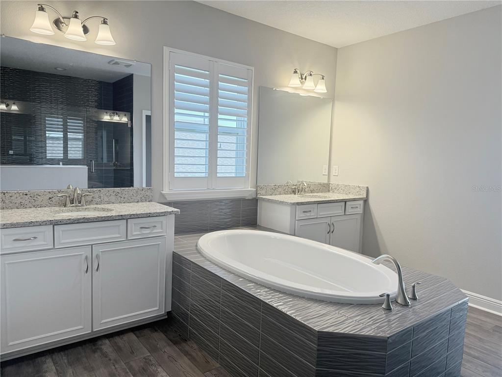 7004 Mainland Avenue Apollo Beach, FL 33572 - Photo 47 of 67 a bathroom with a granite countertop sink a mirror and a bathtub