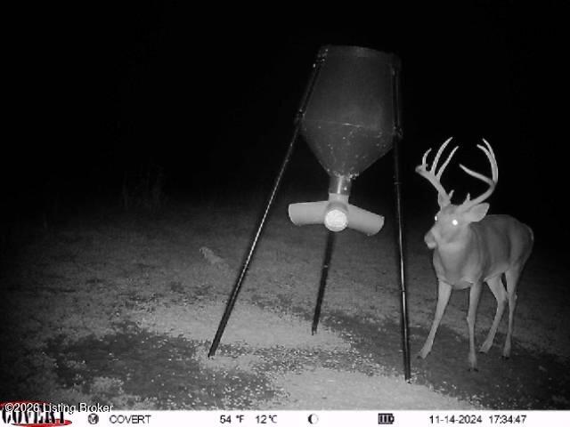 2586 Logsdon Cemetery Road Clarkson, KY 42726 - Photo 79 of 81 Wildlife