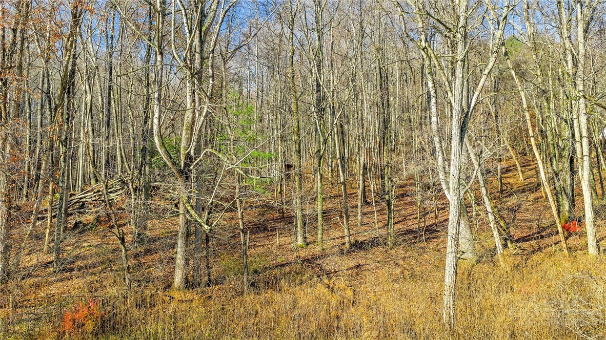 1451 Elliott Road West Jefferson, NC 28694 - Photo 6 of 33
