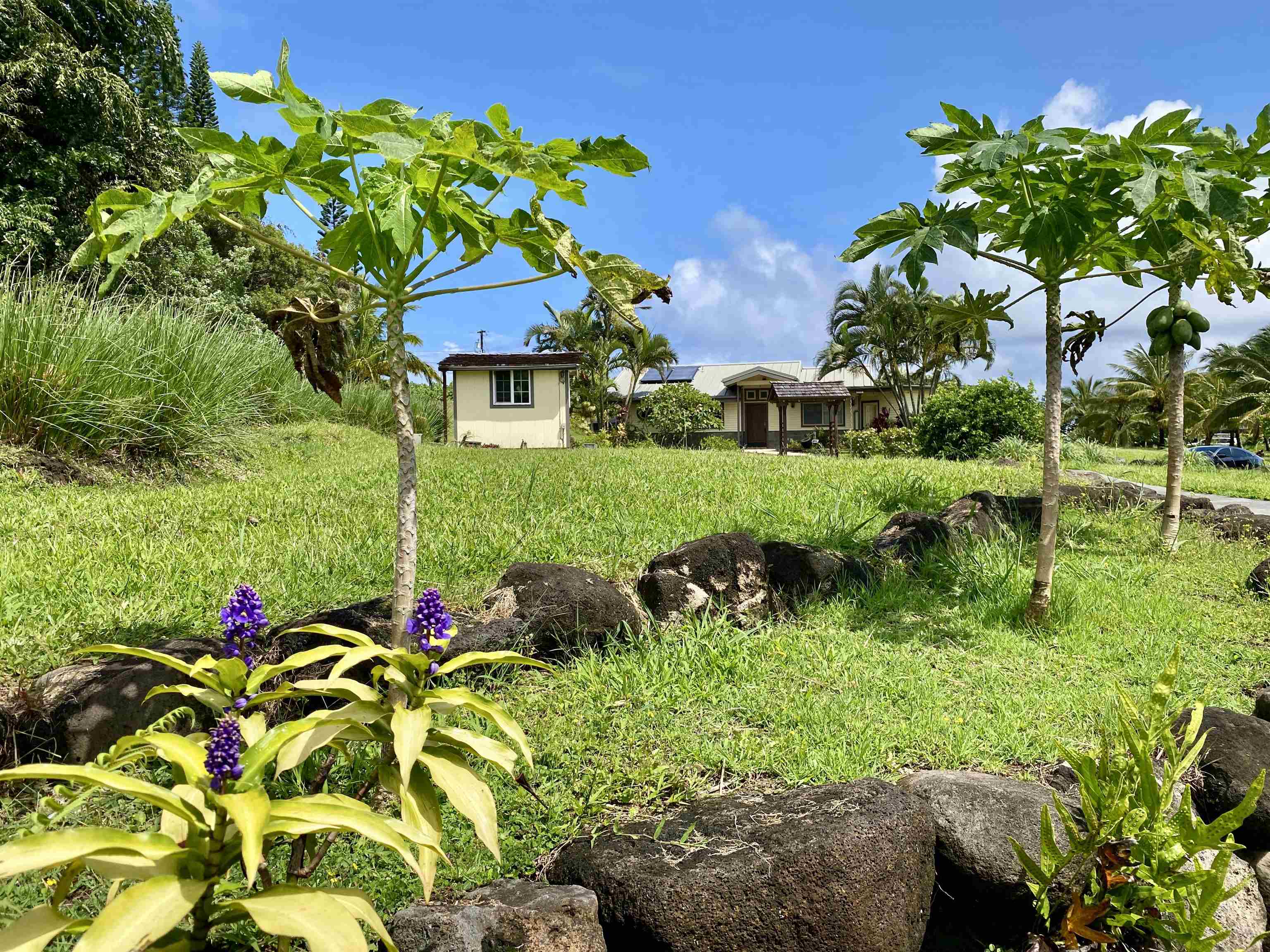 51 West Waipio Road Haiku, HI 96708 - Photo 36 of 50