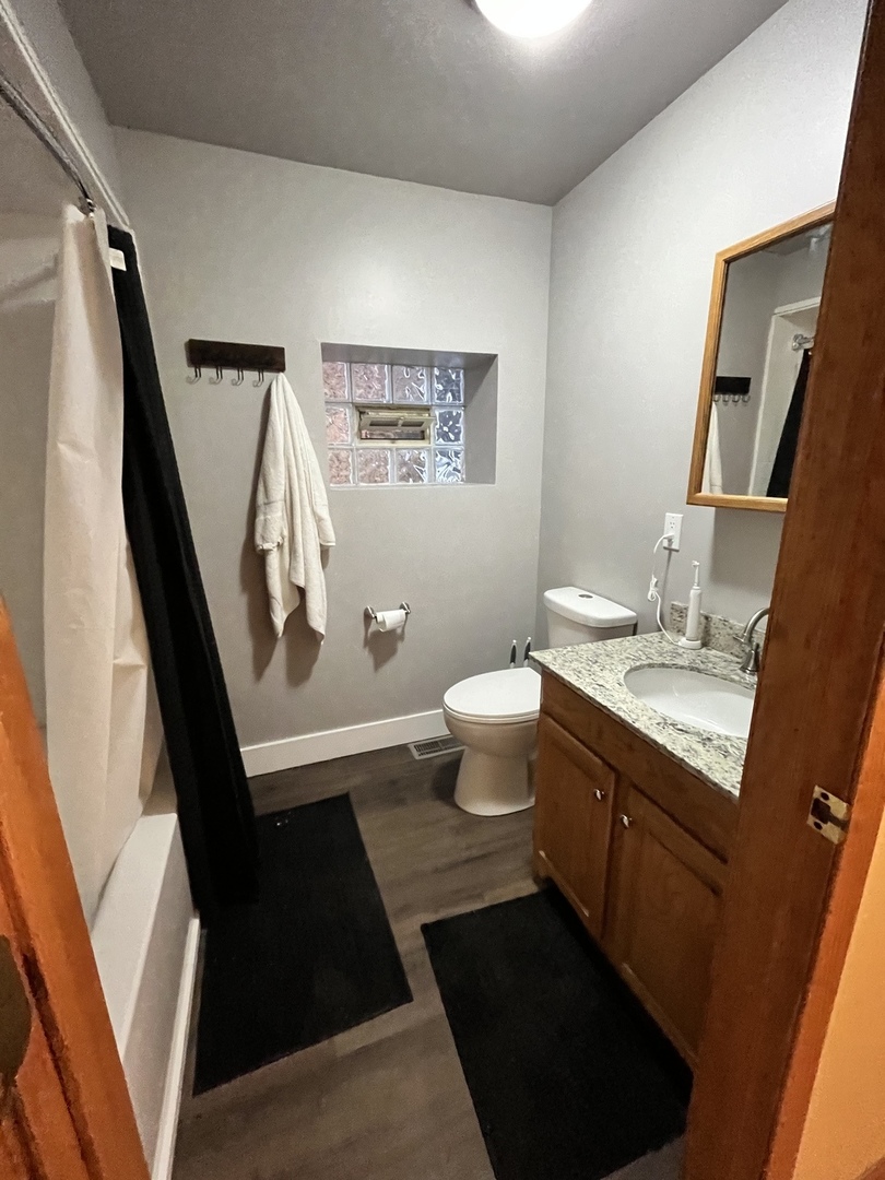 3217 South May Street, Unit 1 Chicago, IL 60608 - Photo 12 of 20