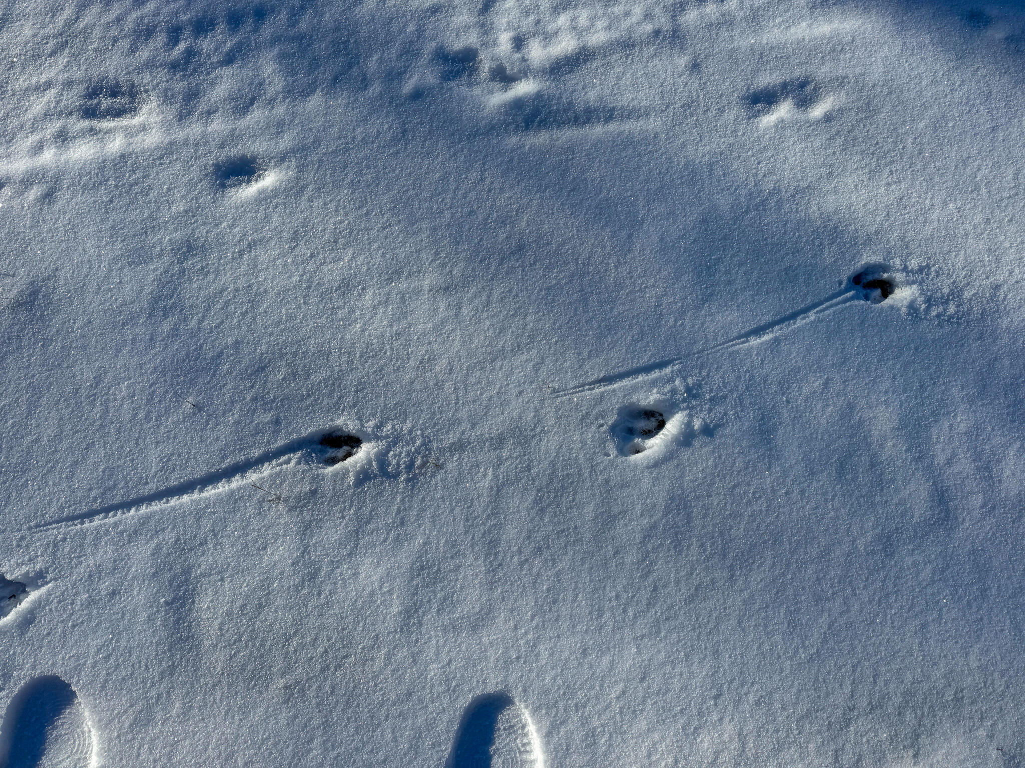 16 Eastern Cutoff Road Princeton, ME 04668 - Photo 34 of 34 IMG_0498